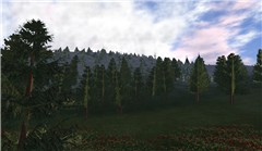 The Falls_001
