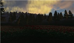 The Falls_003