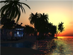 Surfline Aloha Rezzable - Lucrezia Ryba