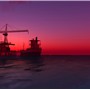 Caletta purple