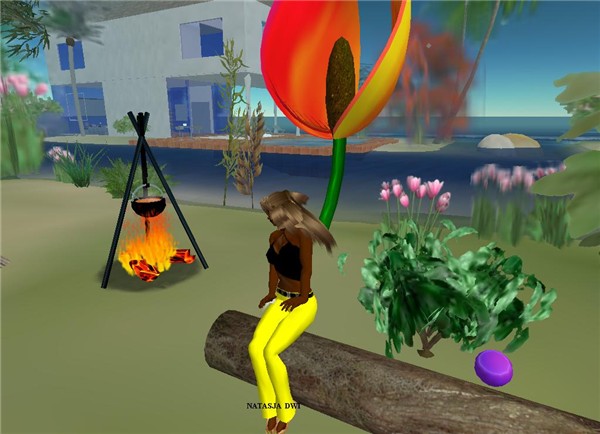 Snapshot_005