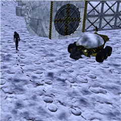 moon walk