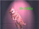 Mr. Pickles