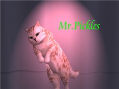 Mr. Pickles