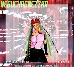 NDN - Cyber Lox