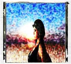 1Polariod-Morgana