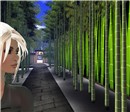 Bamboo