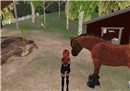 Horsing Around.