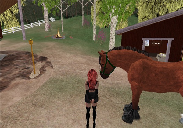 Horsing Around.