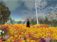Flower - Shu Watanabe