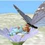 sleeping