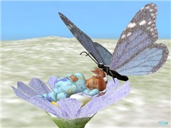 sleeping