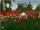 Another spring - Kei Beatty
