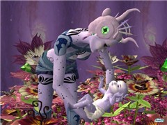 finding baby