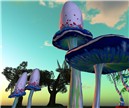 The Alice's garden...