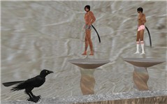 Bird watching