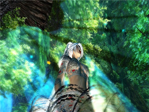 Light's caress