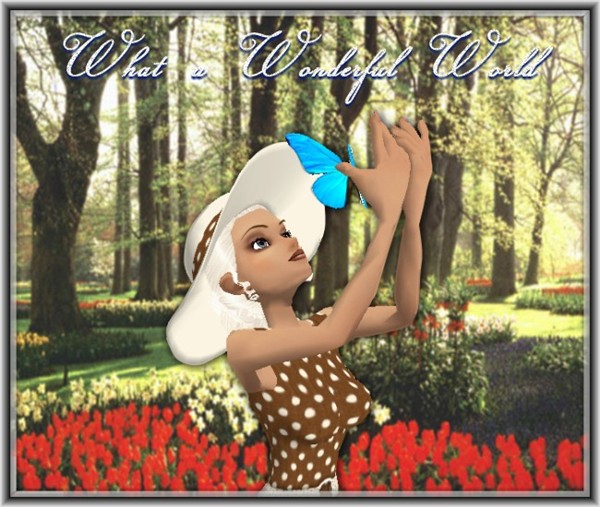 Wonderful World HP pic2