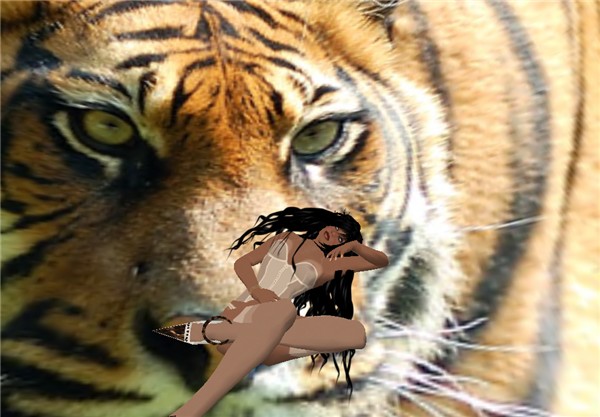 ARY 