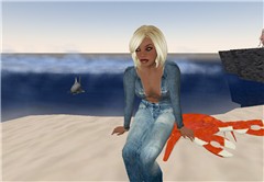 sea