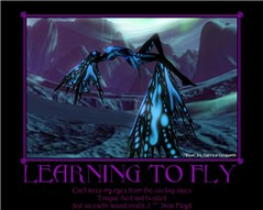 Learning to Fly
