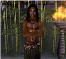 Tribal Warrior