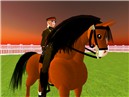 Snapshot_009