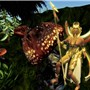 Ra