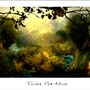 twin paths
