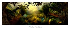 twin paths