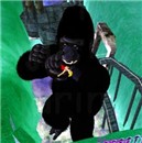 kong