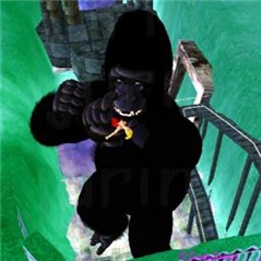 kong