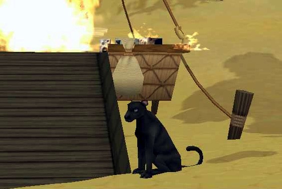 there dog