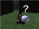 Meditation