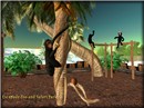 Monkeys Revised
