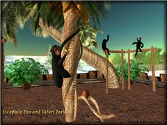 Monkeys Revised