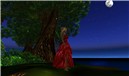 Medievel Land Photo 3 Edited