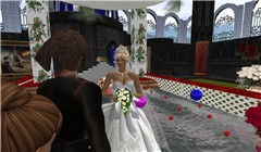 Snapshot_009