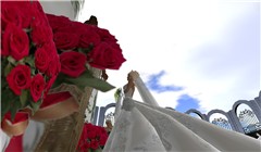 Snapshot_008
