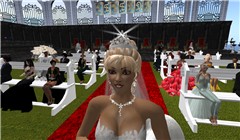 Snapshot_005