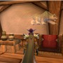 Bug! - My pet thinks he is a wall hanging!