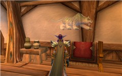 Bug! - My pet thinks he is a wall hanging!