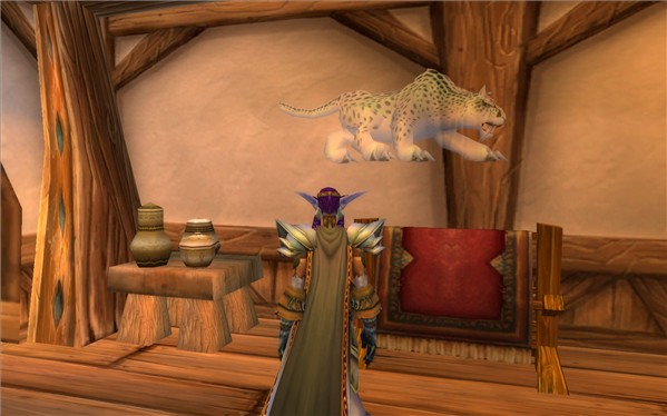 Bug! - My pet thinks he is a wall hanging!