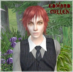 Edward Cullen 1 