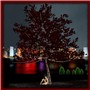 brents tree
