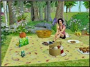 Pic nic