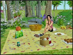 Pic nic