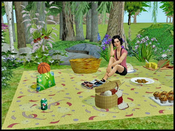 Pic nic