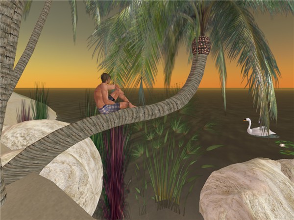 looking the beach