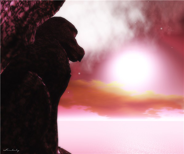 The Watcher